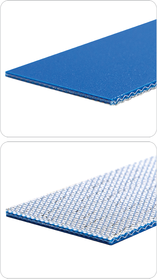 Pure-10-Blue-T-B