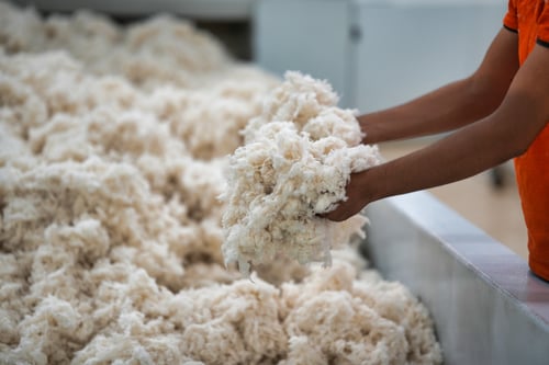 cotton fiber cleaning - step 1