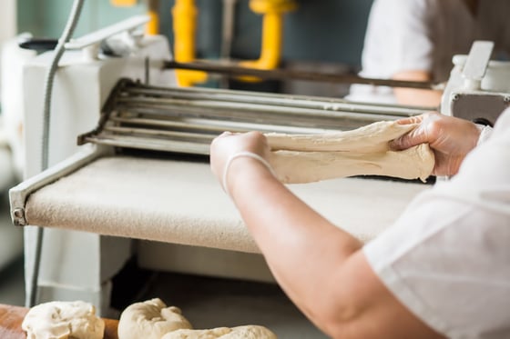 Raw dough on wool conveyor