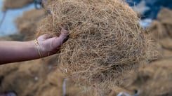 Let's Talk Vegetables (Fibers) - INO USA