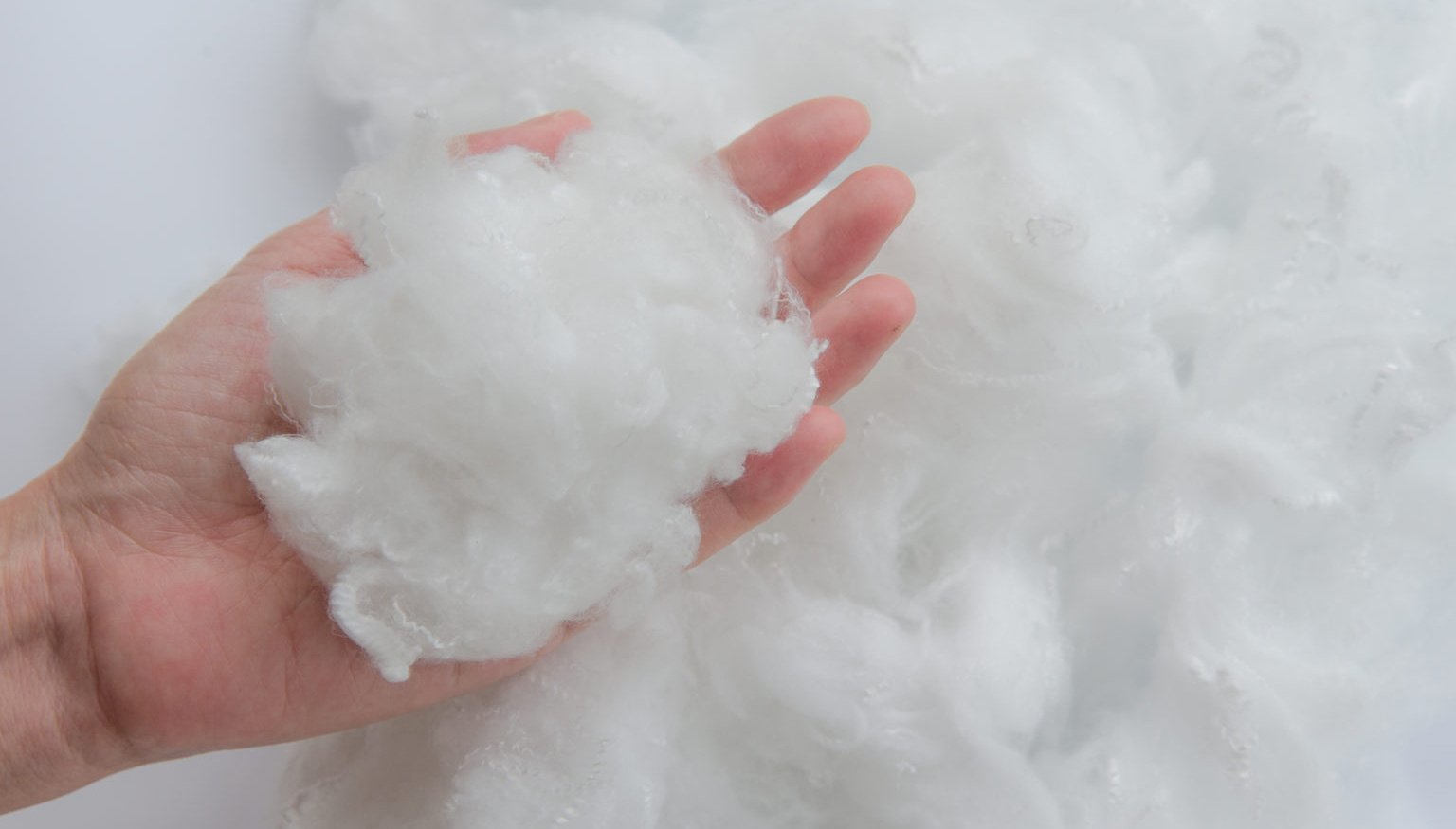 Let’s Talk Fibers – Polyester