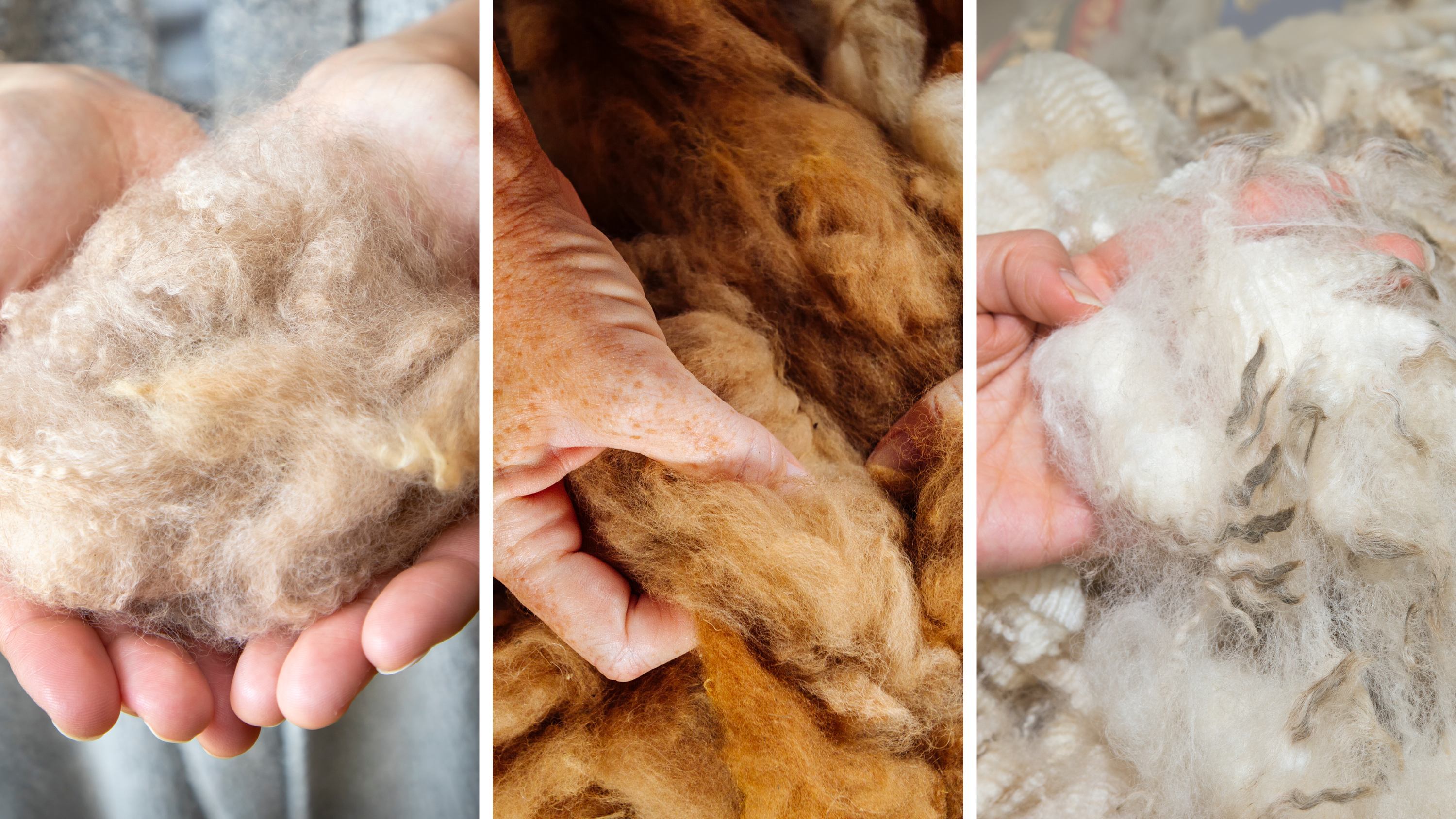 Let's Talk about Animal Fibers